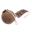 CocoNest™ Natural Coconut Shell Bird House – Nesting Hideaway with Ladder for Small Birds