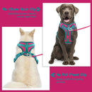 ChromaFlex™ Breathable No-Pull Dog Harness – Adjustable Comfort for All Sizes