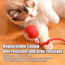 SpinTail™ Automatic Rolling Cat Toy