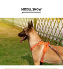 TrueLove™ No-Pull Adventure Harness: Reflective Nylon & Ergonomic Step-In Control (TLH5654)