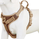 Chocolate Luxe™ Personalized No-Pull Harness: Adjustable Premium Comfort for All Sizes