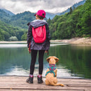 ChromaFlex™ Breathable No-Pull Dog Harness – Adjustable Comfort for All Sizes