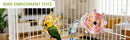 TailSpin™ Long-Tail Parrot Interactive Training Toy – Educational Enrichment for Small Birds