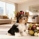 DiamondBow™ 2-Pack Diamond Dog Hair Bows with Rubber Bands – Handmade Valentine's Day Puppy Bowknots