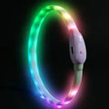 NightGuard™ LED Rechargeable Dog Collar