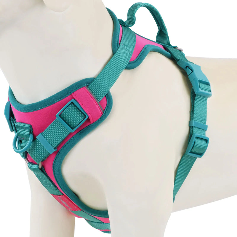 ChromaFlex™ Breathable No-Pull Dog Harness – Adjustable Comfort for All Sizes